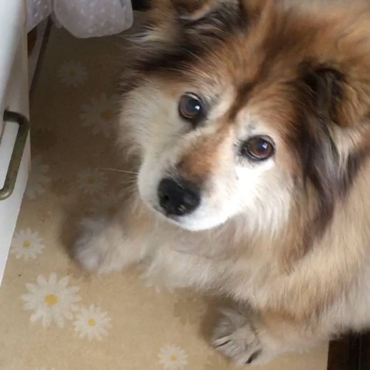 Ae70fc12 5023 4c7c 84e3 ef4fb62b7d42 1625389261035