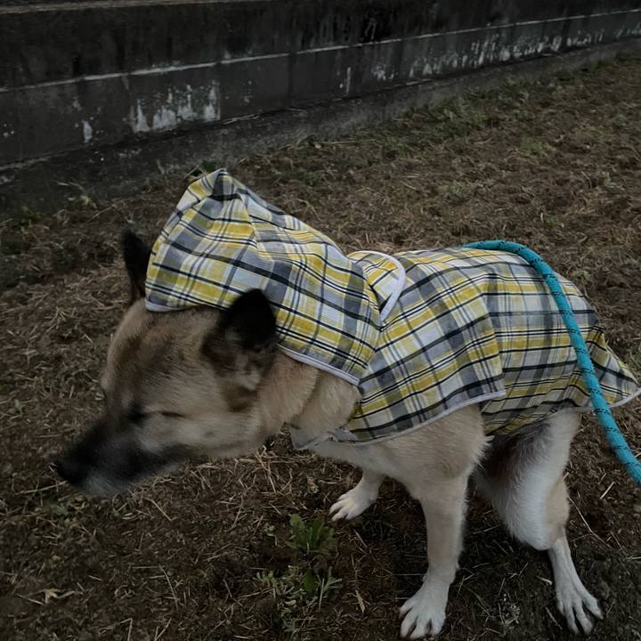 Ae71753e 9164 47a7 bf12 777a68f6ab8c 1702299466015