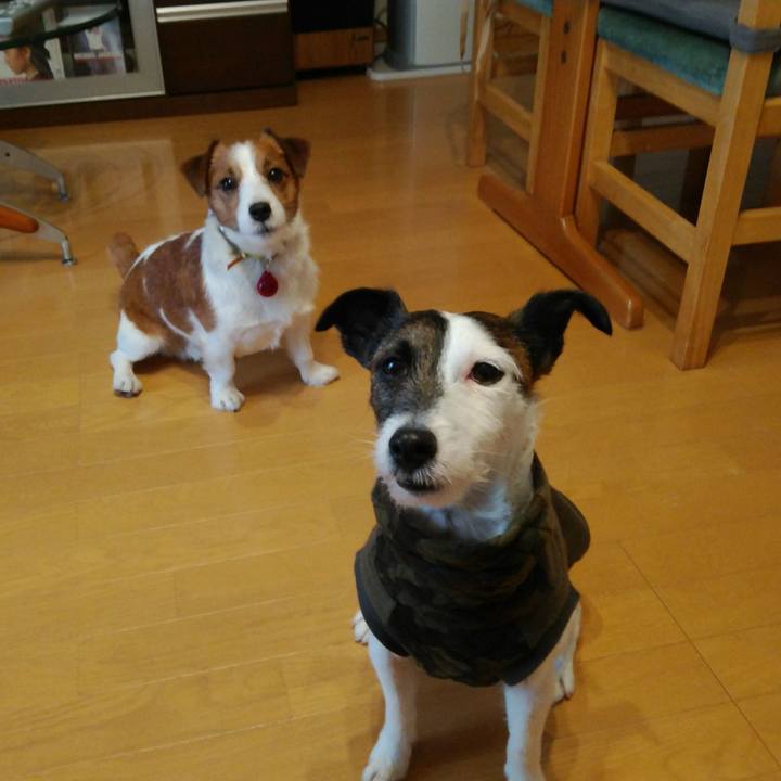 Ae717d43 7a9e 4e5e b420 53b52e61f026 1517131060521