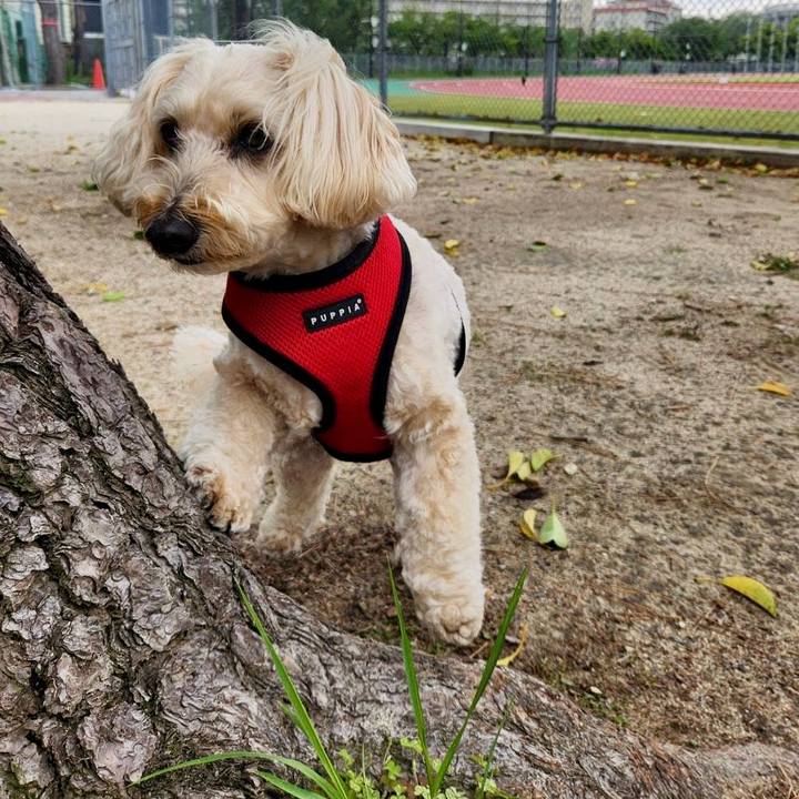 Ae71a397 48e0 4a8f ba7f 7a8a643fc836 1776409456525