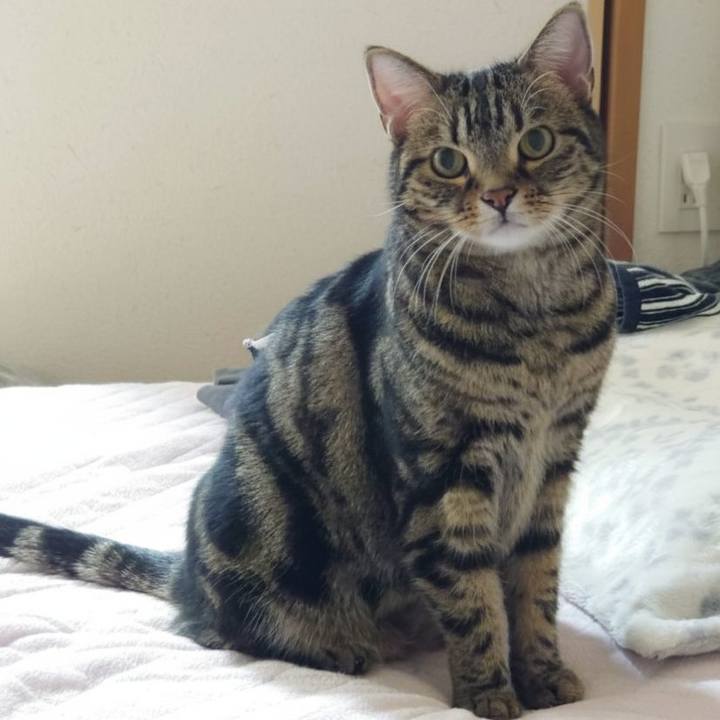 Ae71fdd9 d4f5 43b0 b232 54e0b3e2cd4e 1768311780668