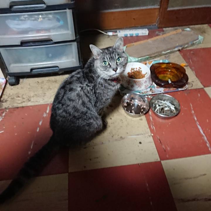 Ae7219f9 6bd9 4bcb b4db 73c06e1c5497 1580764401168