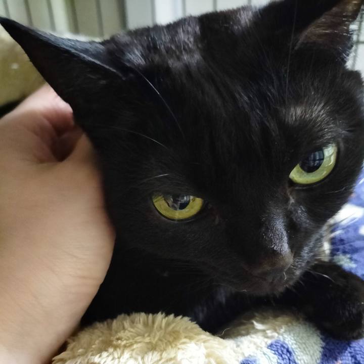 Ae724417 8012 48c8 9224 0ab431ab4a0e 1703850548141