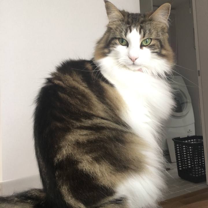 Ae7258b6 2761 45dd b24c ba7e611d5f22 1529456909102