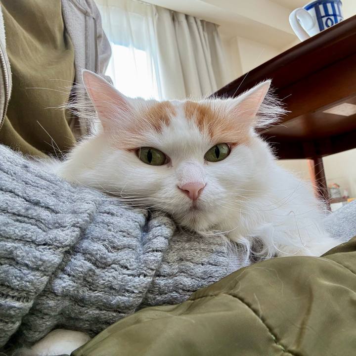 Ae72600d e573 4791 95f4 75a24bda2da0 1764984160466