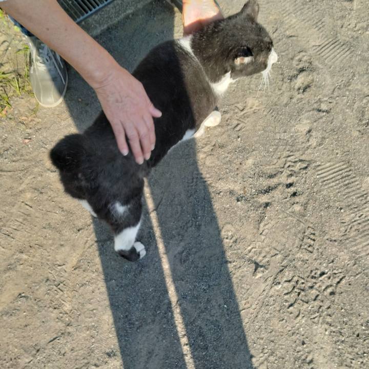 Ae726bd5 32ae 4bdf 9efc 3e4c6c89ecc2 1698967719307