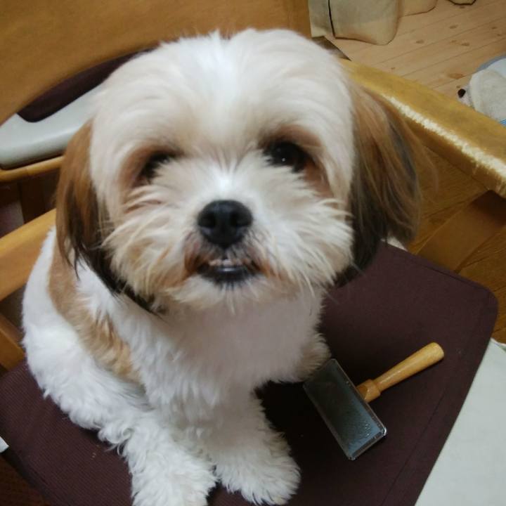 Ae726c14 3823 4656 862b 36d5bf28968b 1539081121176