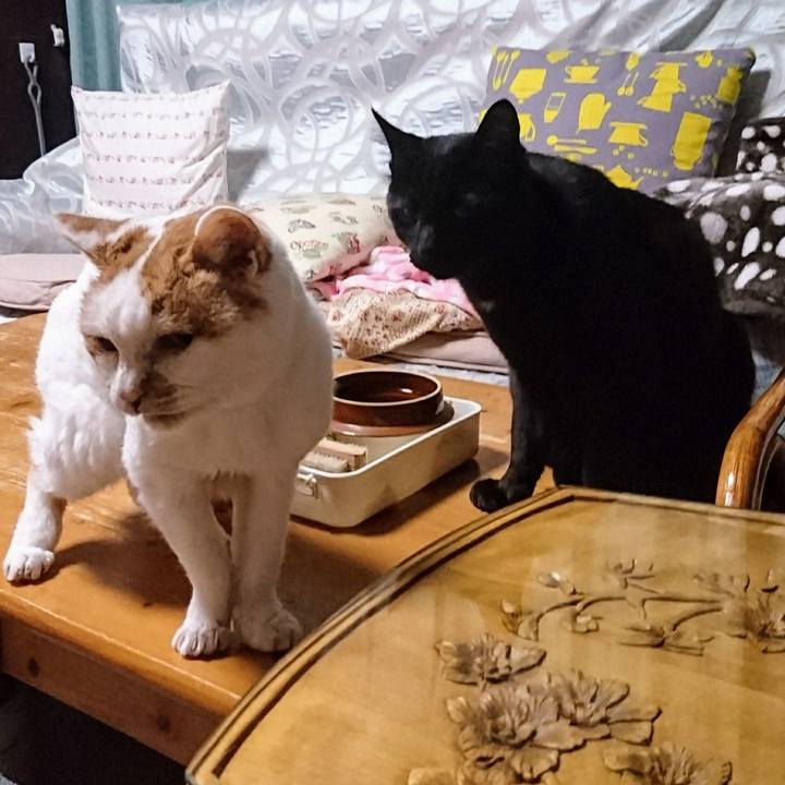 Ae727a77 434c 41b1 b84f f68644083b55 1718700594623