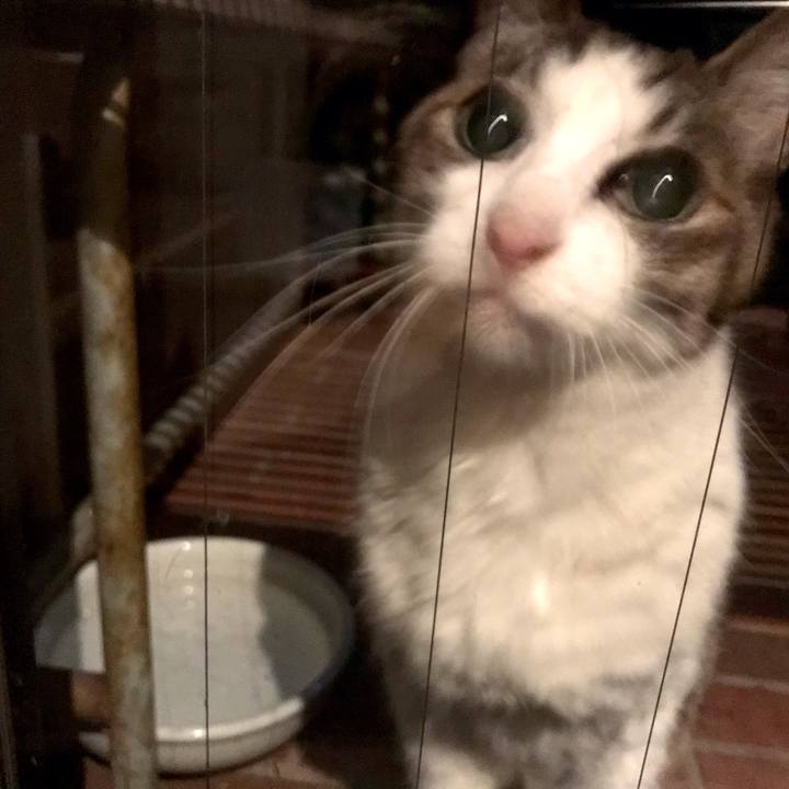 Ae72c38f 606c 4e88 86f4 99b2ab1e0627 1619392747202