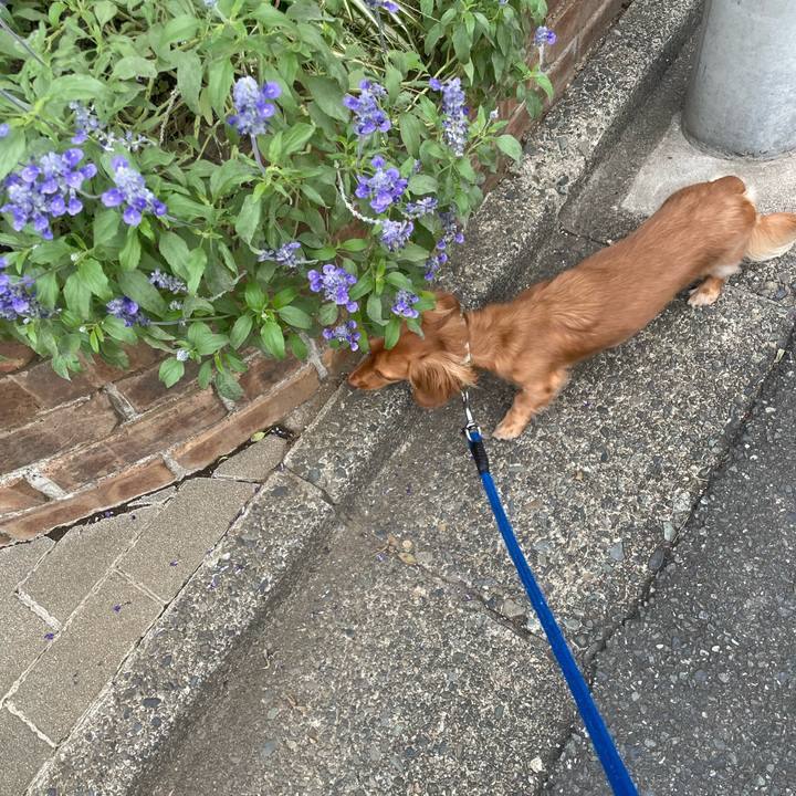 Ae72e03c d6c9 4b84 866e 76a6b064726a 1759664810842