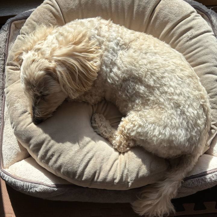 Ae732adb 5db2 43ae b33b 59e8e9cfdc25 1764294603796