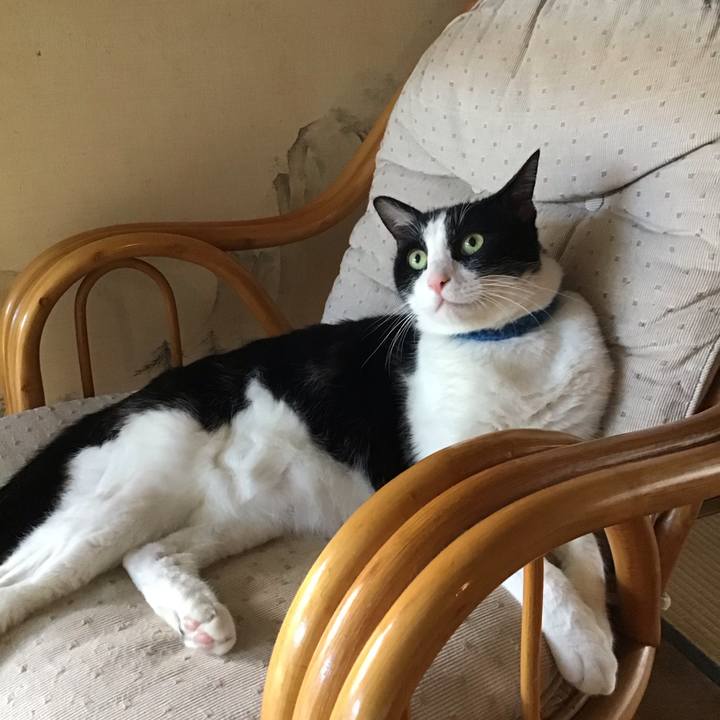 Ae73328b 1cb6 4eab 9b85 df13b0195c31 1753099521876