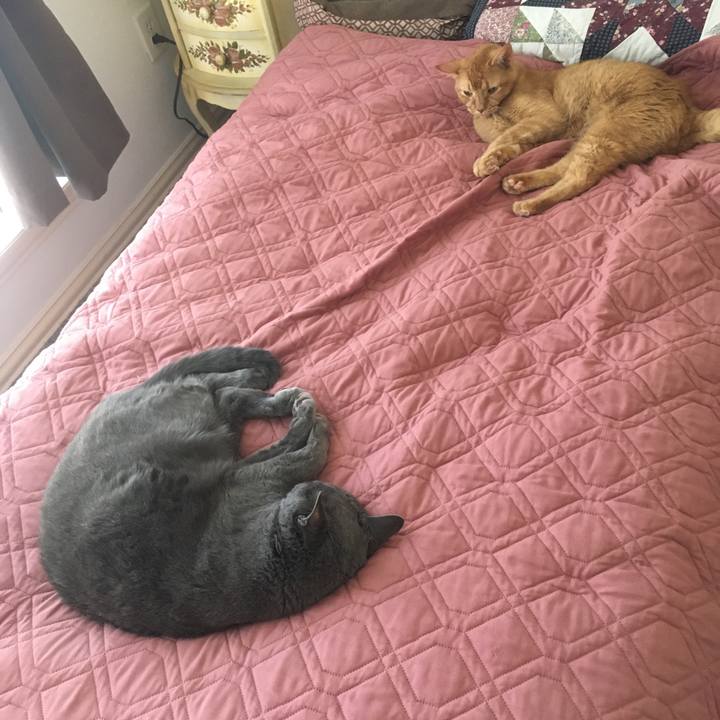 Ae735a83 4d44 4795 a7c9 558ed9282063 1664844304728