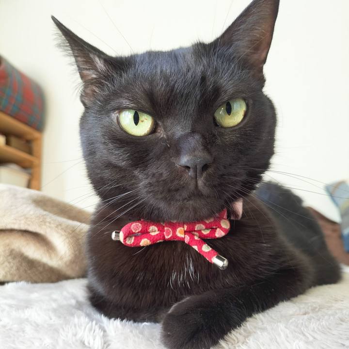 Ae735d43 67d5 4306 9f02 76b5fd7bd5ab 1670028593689