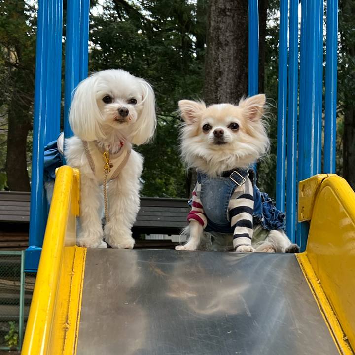 Ae737ff0 d3db 465f a7b2 4cc1383fd3fb 1668122802499