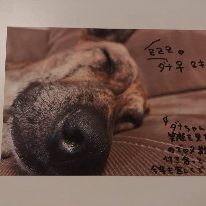 Ae73a62e cd94 44a9 bad1 b0d2d98fd309 1642071254197