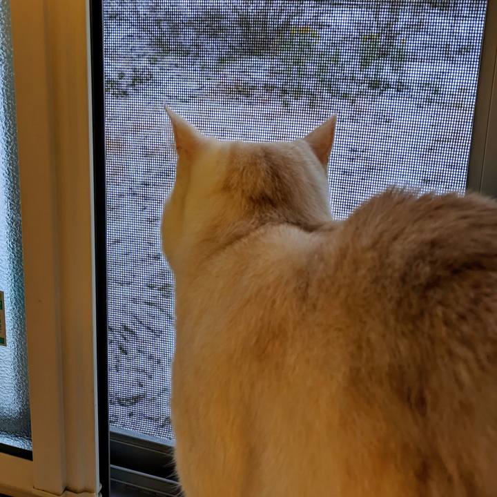 Ae7414d0 4f11 40e1 a956 b9886f7219c4 1702853051004