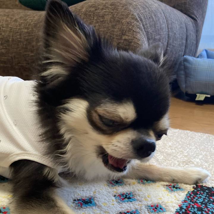 Ae742410 86dc 43c9 b845 93c08c9b0e0b 1692542927236