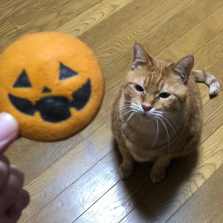 Ae745b73 8948 48c3 a2d4 7a37c860f7ae 1698661585535