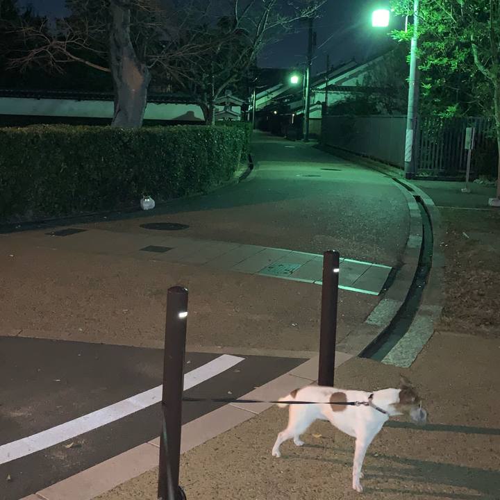 Ae7463f2 7241 43ca 9a16 bd7c6834cbca 1575813012063