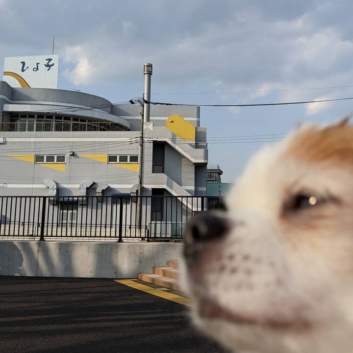 Ae747117 9844 4018 97f6 f0911e6ad6a3 1678434482377