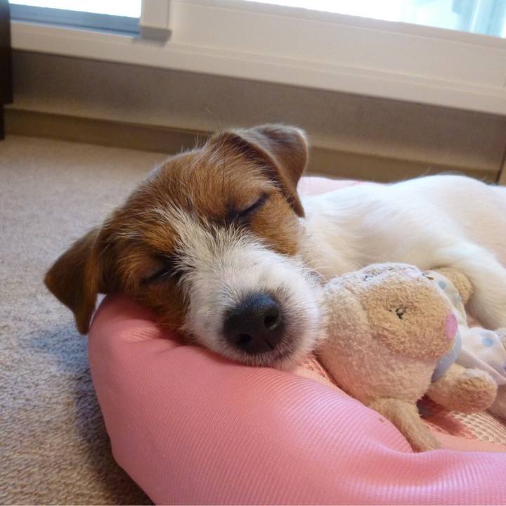 Ae74be33 f315 48f3 9dc1 3299e3b5ed46 1540305497172