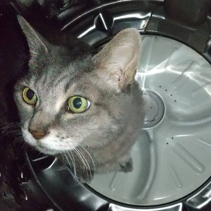 Ae74c8a2 d803 4a4b 857b dea60bb8b421 1694945261301