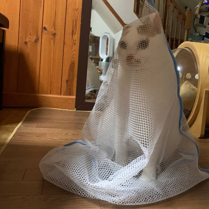 Ae74d038 ca1b 4f8a 8d45 8695aaa140e1 1655907476837