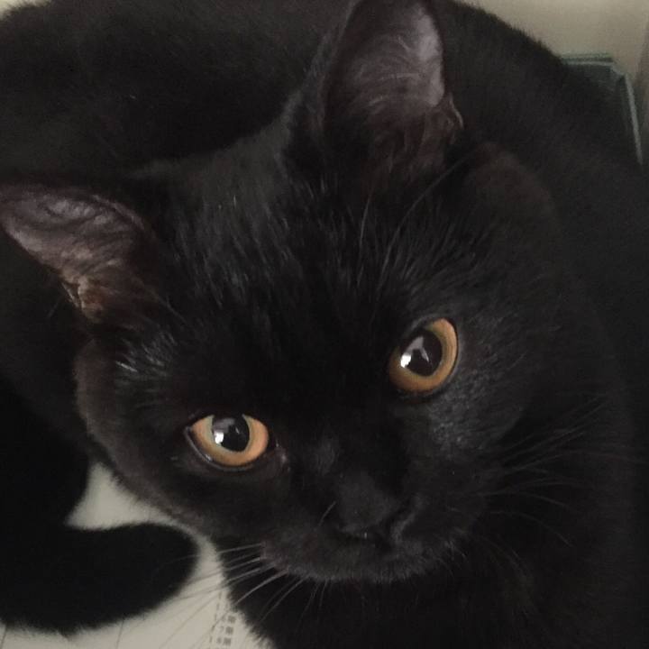 Ae74edd3 e596 410a 868e f1e0fc318dbf 1520727258671