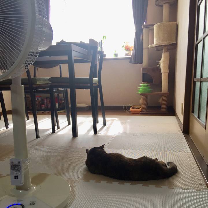 Ae74f7bb 2df3 4d30 ba45 82b5d3abd2b8 1595027028311