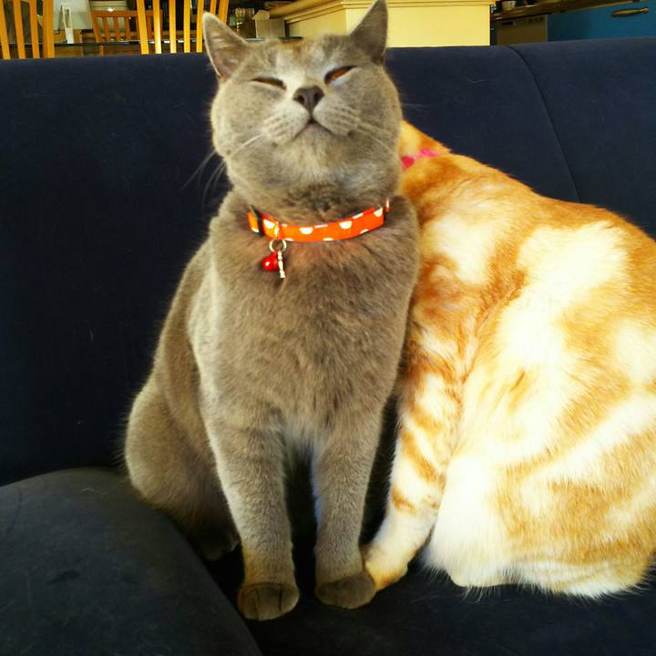 Ae750cd7 4cba 41ca 9dcc f79ed77b2f69 1514333410507