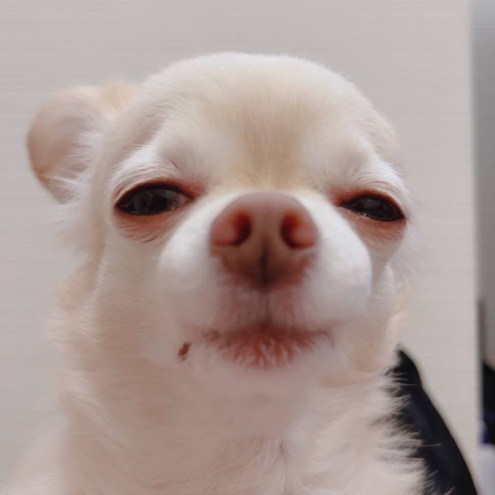 Ae751334 02ee 48ff bbbd 1db5c2ff9f53 1760697125081