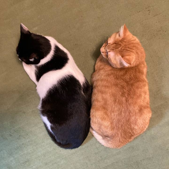 Ae756b82 0357 4c5a b7e5 4ce8b2df01e2 1765980793101