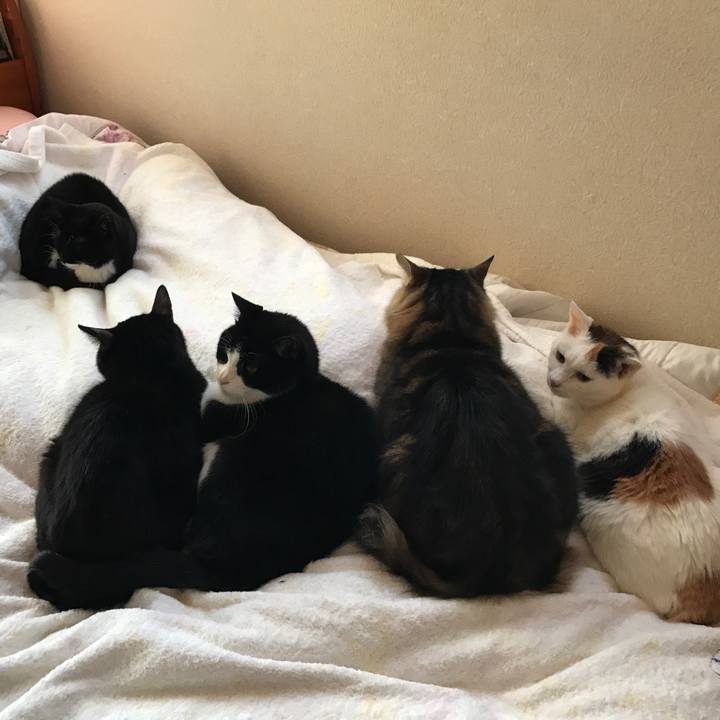 Ae757583 3e83 430d a70f 49e2a89a7546 1509579998327