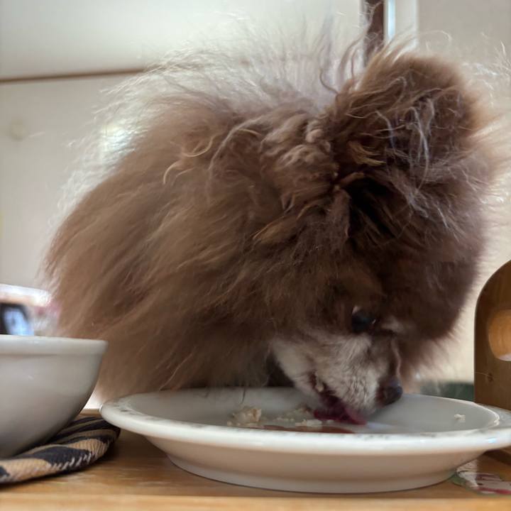 Ae75cbd9 cbff 496e ab3c b3424338add2 1747175677965