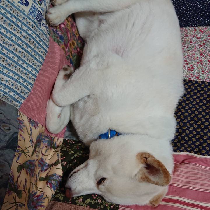 Ae75deb3 1ae7 43e9 990c c6ef4fe71e0b 1587908515479