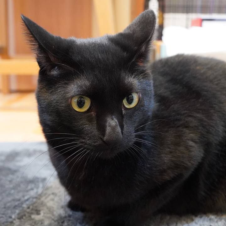 Ae75e707 68f3 487c 94a6 0175d702471b 1605849464212