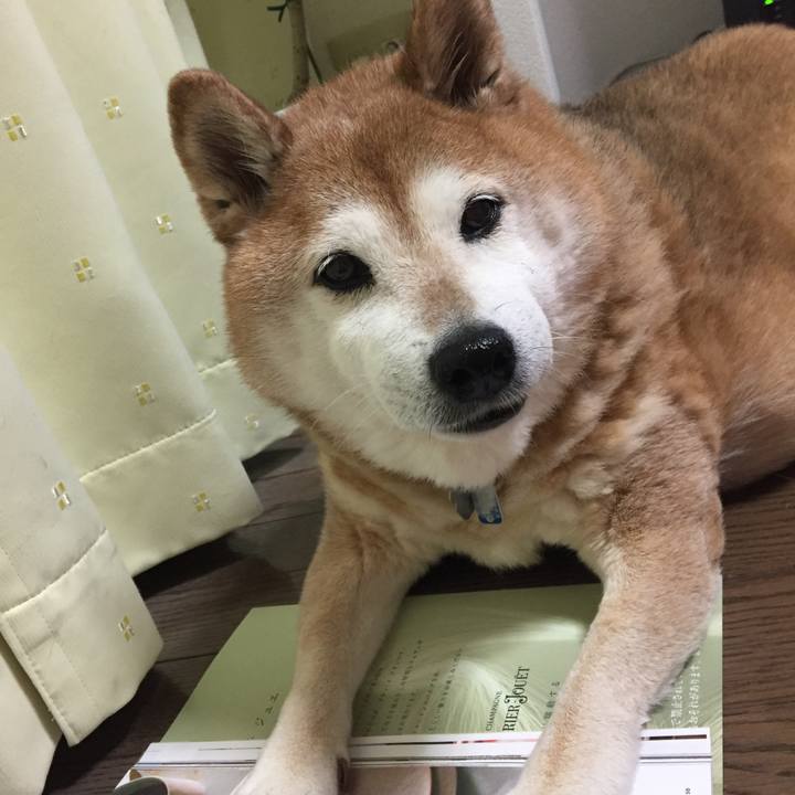 Ae7659b7 c8dd 4bd3 9332 e4fa5da1f15b 1555065785230