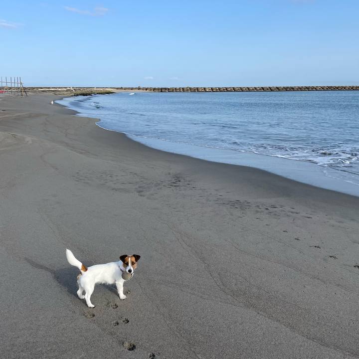 Ae766773 3a22 40a3 ad38 bde509aae4f9 1648597345183