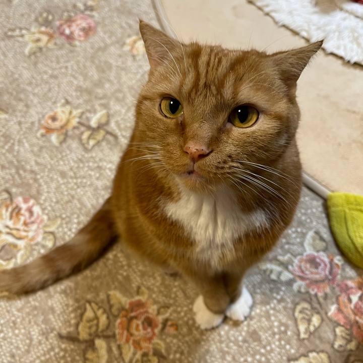 Ae76958d 6ccd 4838 a4f9 ee2cf5720327 1640784209754