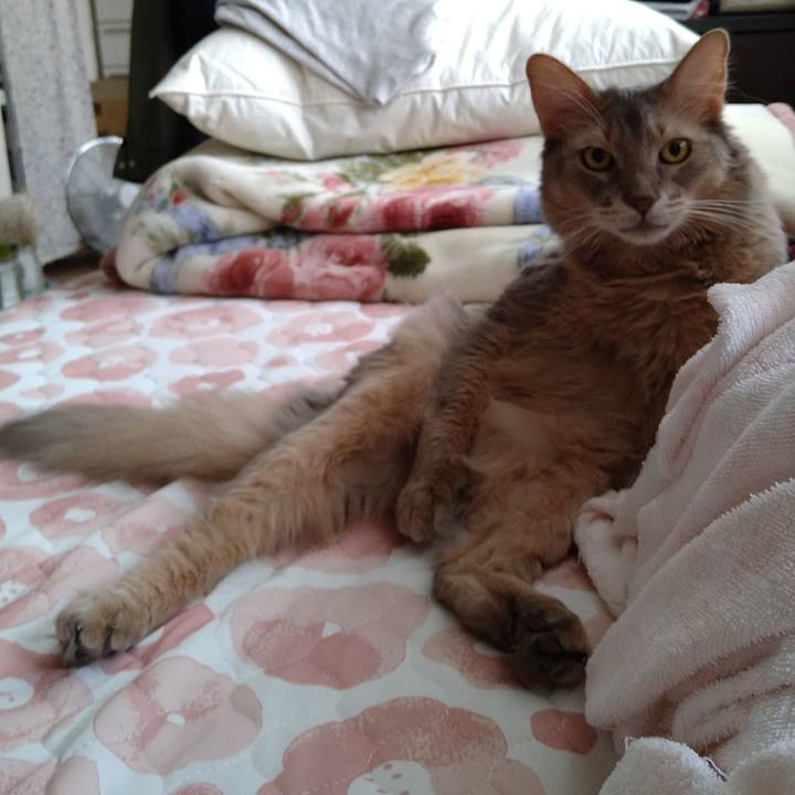 Ae76ed93 e411 425d 9cf0 05364b5e06d1 1597846170616