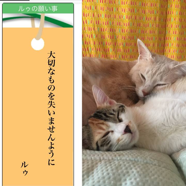 Ae770924 02e8 4e84 a1dc 61ccb86b49a5 1751014340466