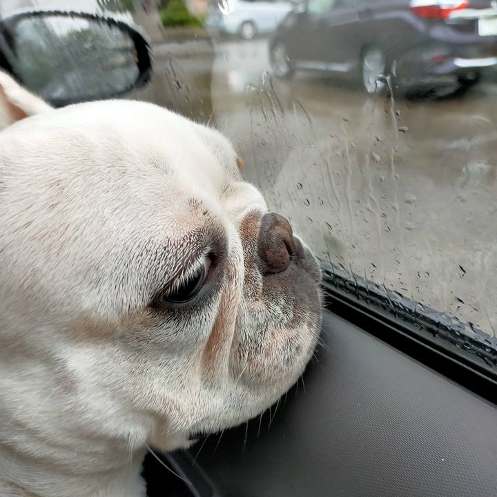 Ae7728ff 4f89 48e5 b454 094bf0421106 1663486105385