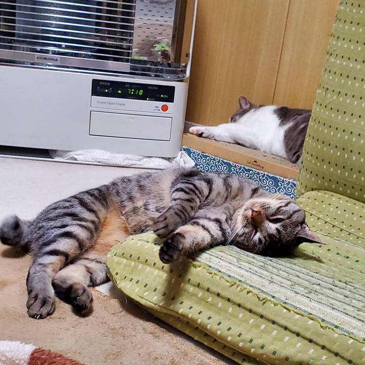 Ae772ef5 82a6 4ecc 8dbd 6358e2b657b6 1721367923901