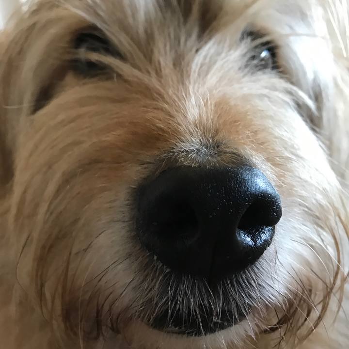 Ae7739d4 a907 4912 bba0 01091873e788 1585047692300