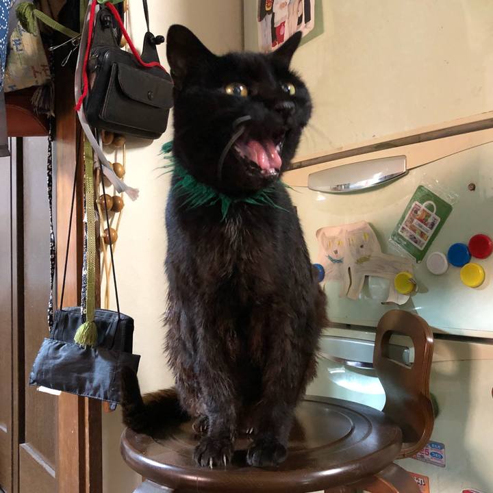 Ae77612c 4b91 4e43 a554 ed11b13b06df 1527666262597