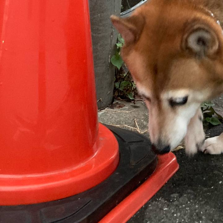 Ae776f71 010b 4b0e 81e9 4735b55ed62f 1634466046591