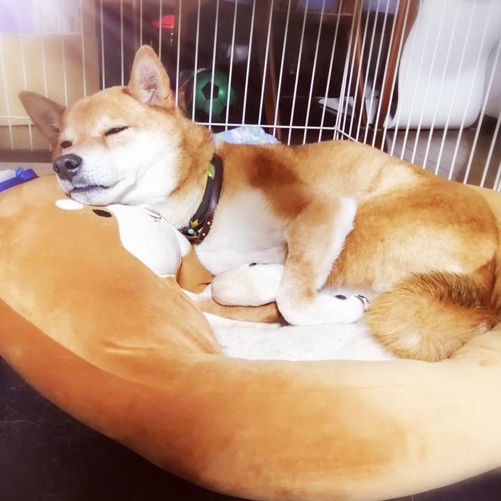 Ae77bc80 0e7e 4e5d 8e09 23795784a01b 1613905445069