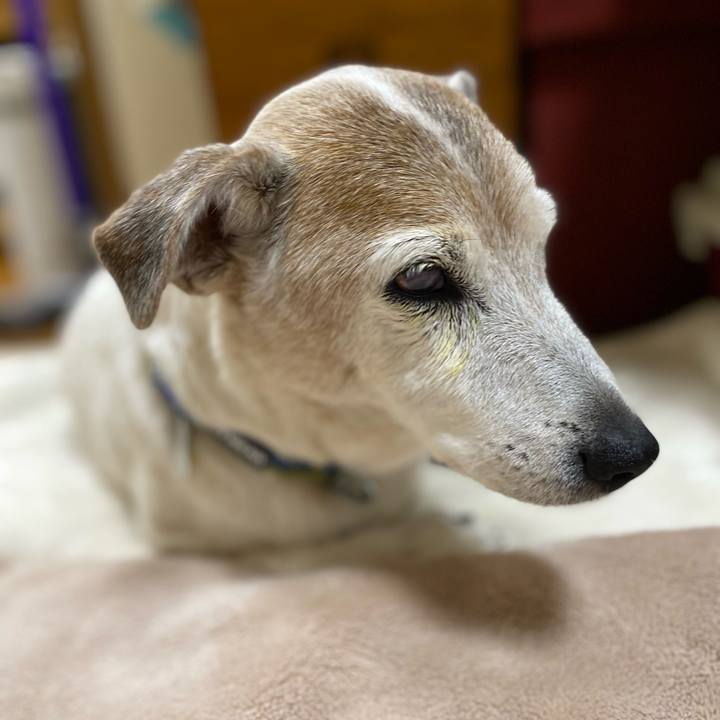 Ae77bd94 7868 4c40 92fd 992414f4e56e 1675688077032