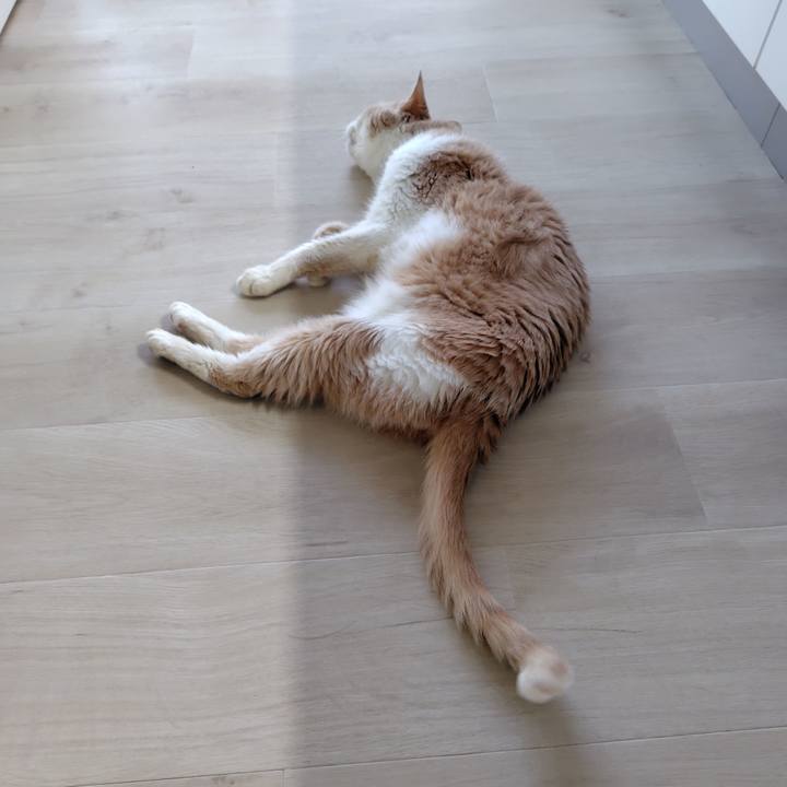 Ae77dec8 78d3 448c 81a1 f8988e584e5e 1722418152834